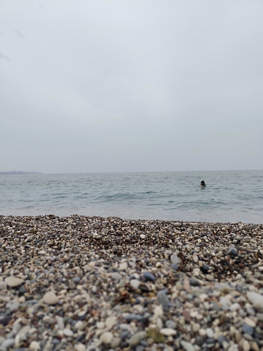 Sessizliğe kulak verin bazen güzel şeyler anlatıyor..
