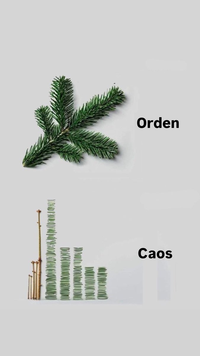 Gonzalo 🌾🇻🇦 (@gxndisalvus) on Twitter photo 