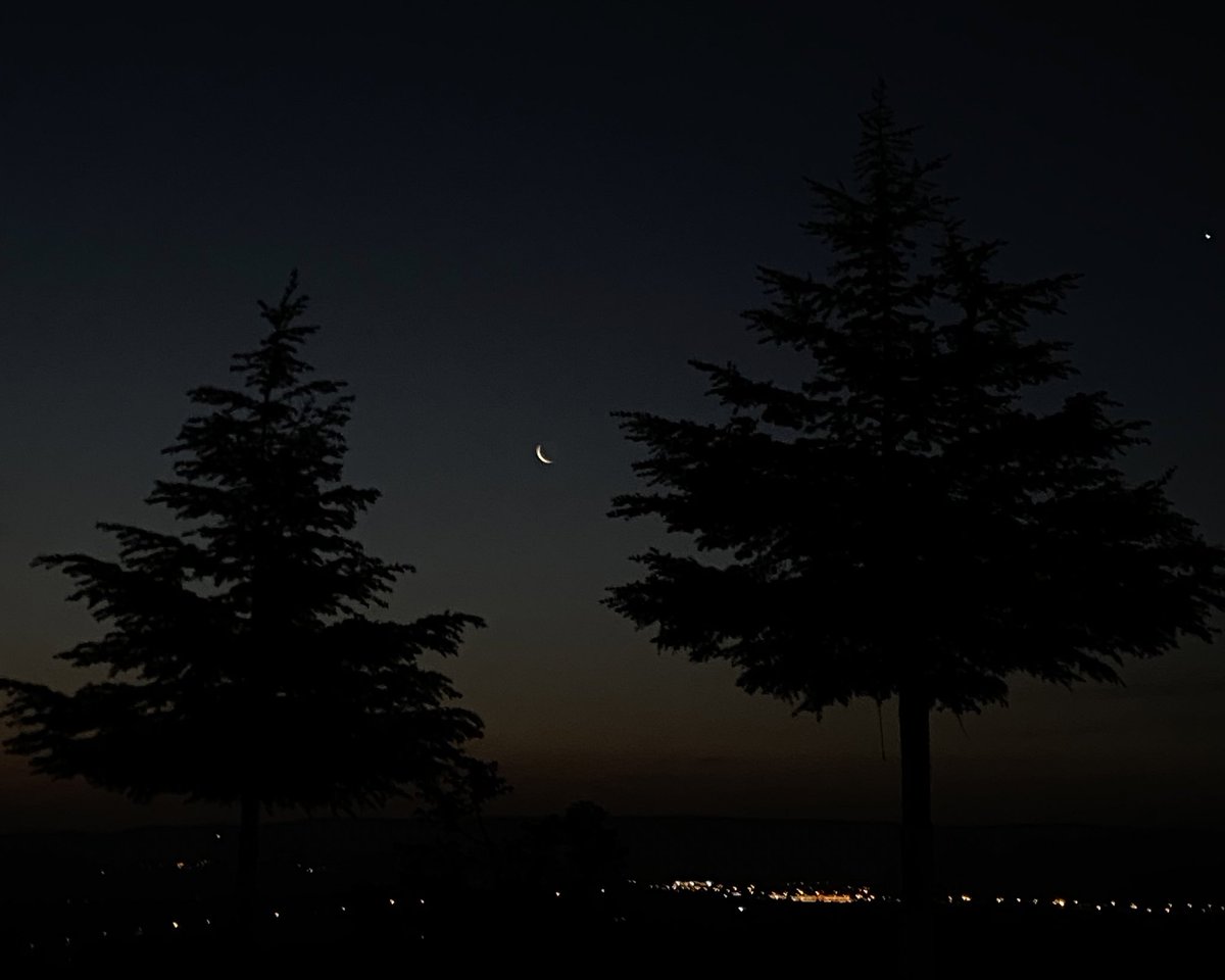 Asude🌿🍉 (@_asude7) on Twitter photo 