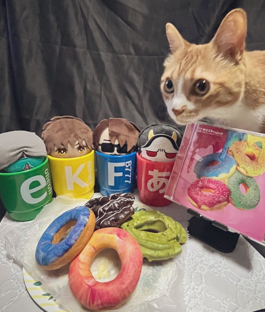 wayawayawy's tweet image. 楽しく素敵な企画をありがとうございました！ 皆さんの投稿を見る日々も楽しかったです☺️ また次の舞台も企画も楽しみにしております〜！

これは当社比ちゃんと撮ってた写真を見つけたもののエラーで投稿できなかった敗北者 せっかくなので供養 〜映り込みの猫を添えて〜
 #MSSP横アリフォトコン