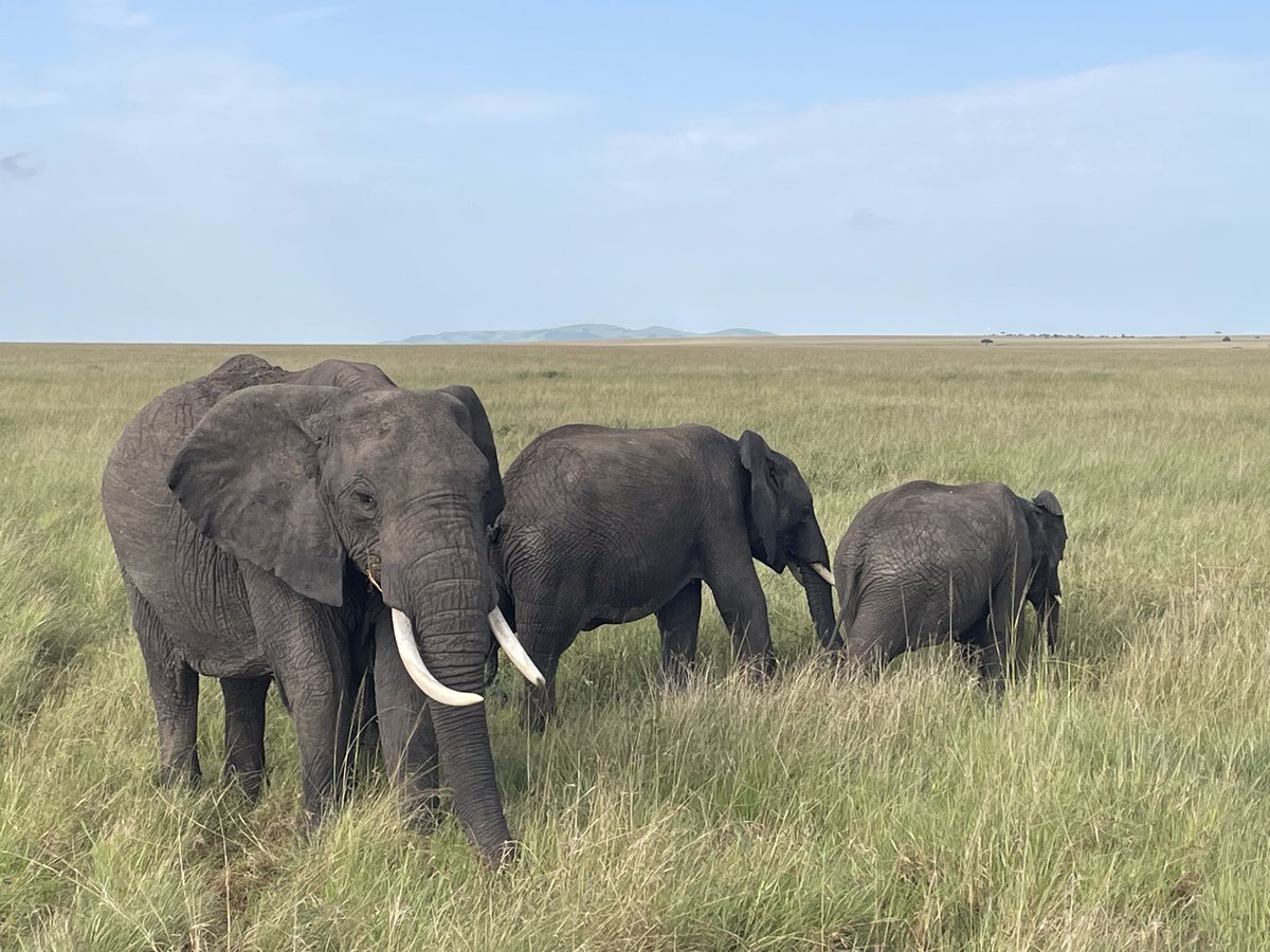 Matt Champness tweet media