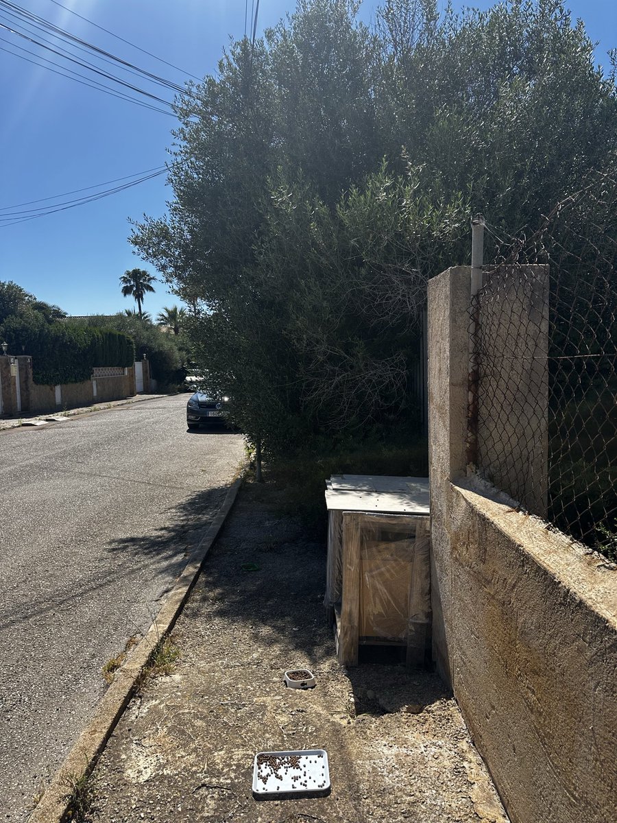 Mallorquin Indignao tweet media