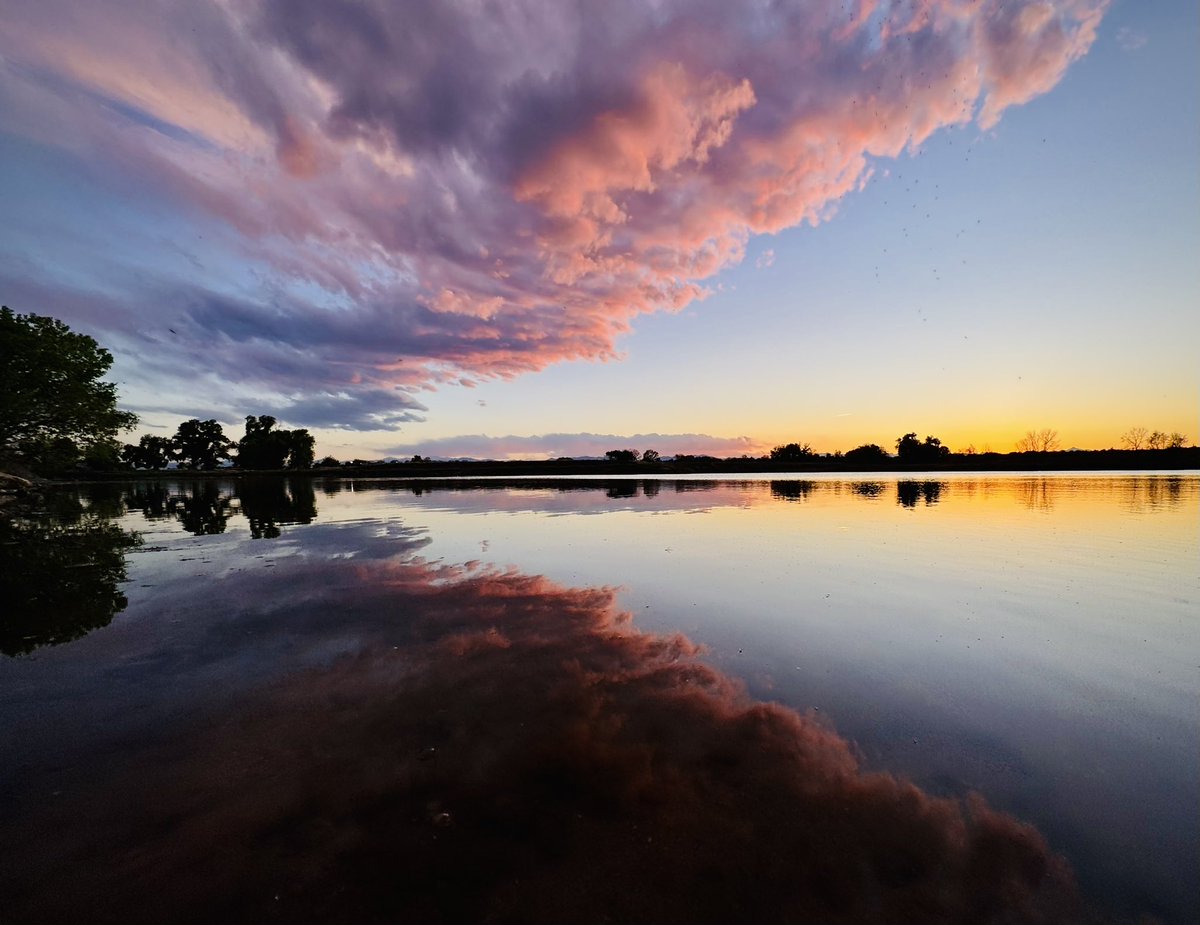 DMiller52325459's tweet image. GM, hi everyone. 
For #SundaySharing please share or QP your (own) favourite #PhotoOfTheWeek.