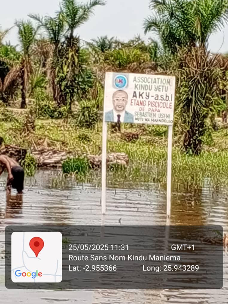 adeitho's tweet photo. ASSOCIATION KINDU YETU dans le cadre de poursuivre ses objectifs elle vient d'ériger un étang piscicole au nom de PAPA SÉBASTIEN USENY le Leader incontournable dans le Maniema https://t.co/BOduzTKP8x