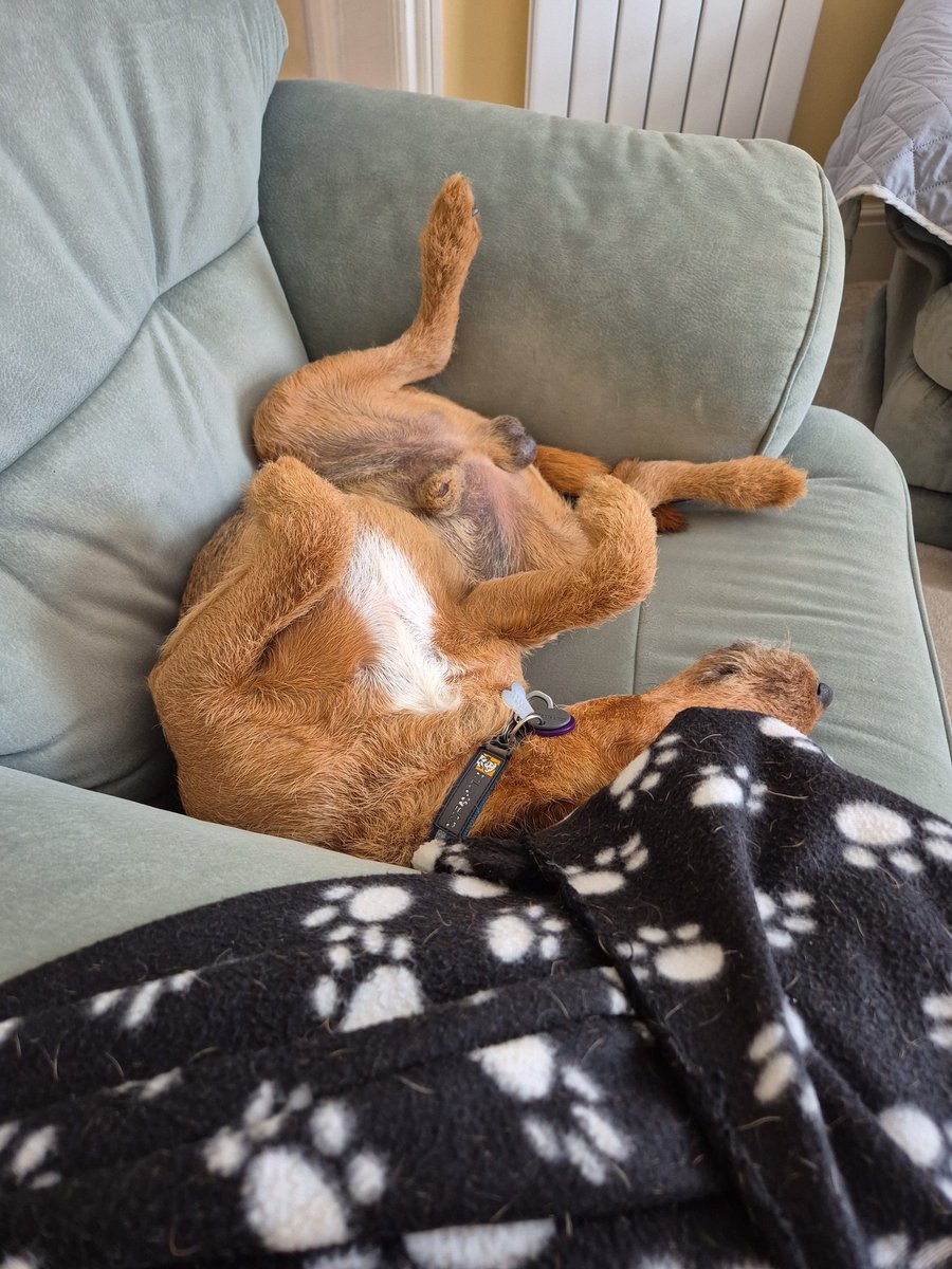 Filbert Lakeland tweet media