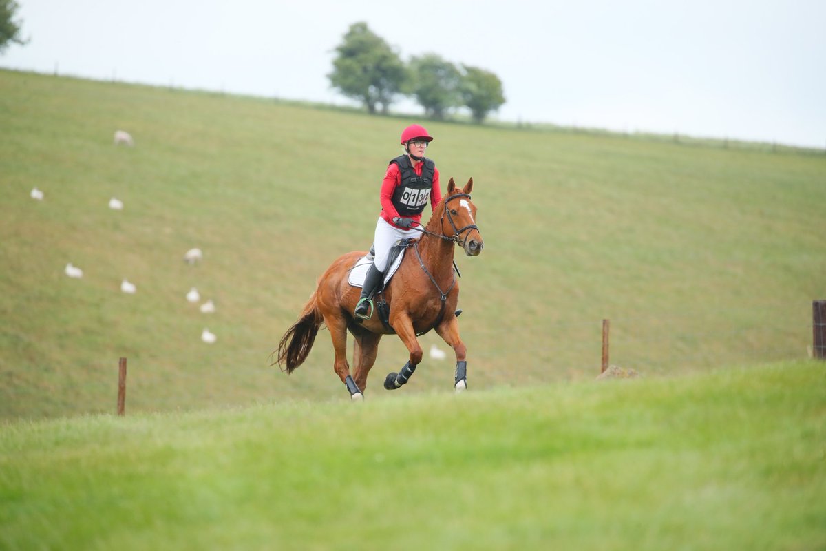 Beyond thrilled with my impulse purchase at our first ODE yesterday 🥰🥰