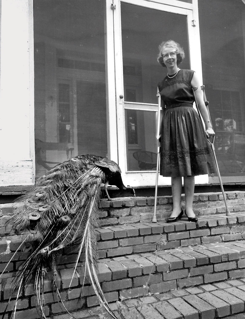 beataproduction's tweet image. “I have found, in short, from reading my own writing, that my subject in fiction is the action of grace in territory largely held by the devil.“ Flannery O’Connor #FlanneryOConnor