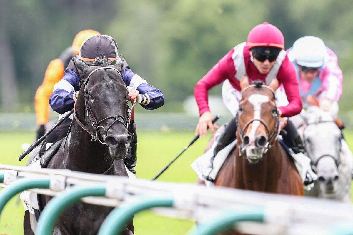 🏆 PRIX DU PALAIS-ROYAL (Gr3), PARISLONGCHAMP
Topgear (M6 Wootton Bassett <a href="/coolmorestud/">Coolmore</a>) déroule son plan de vol avant Ascot ! Le pensionnaire d’Hisaaki Saito s’impose pour sa rentrée et vise les Queen Elizabeth II Jubilee Stakes (Gr1). 
👉 La suite sur jourdegalop.com