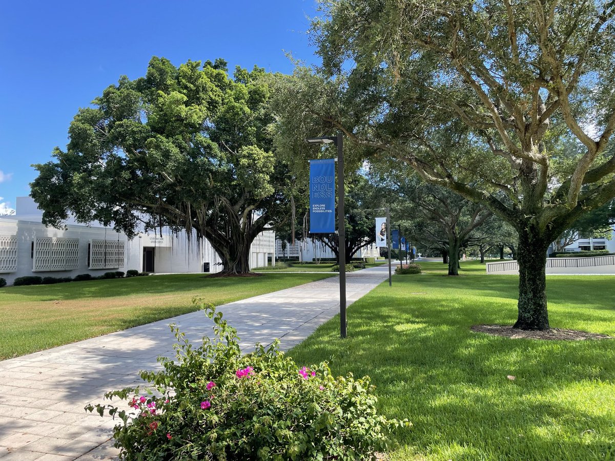 Tristan McGinnis tweet media