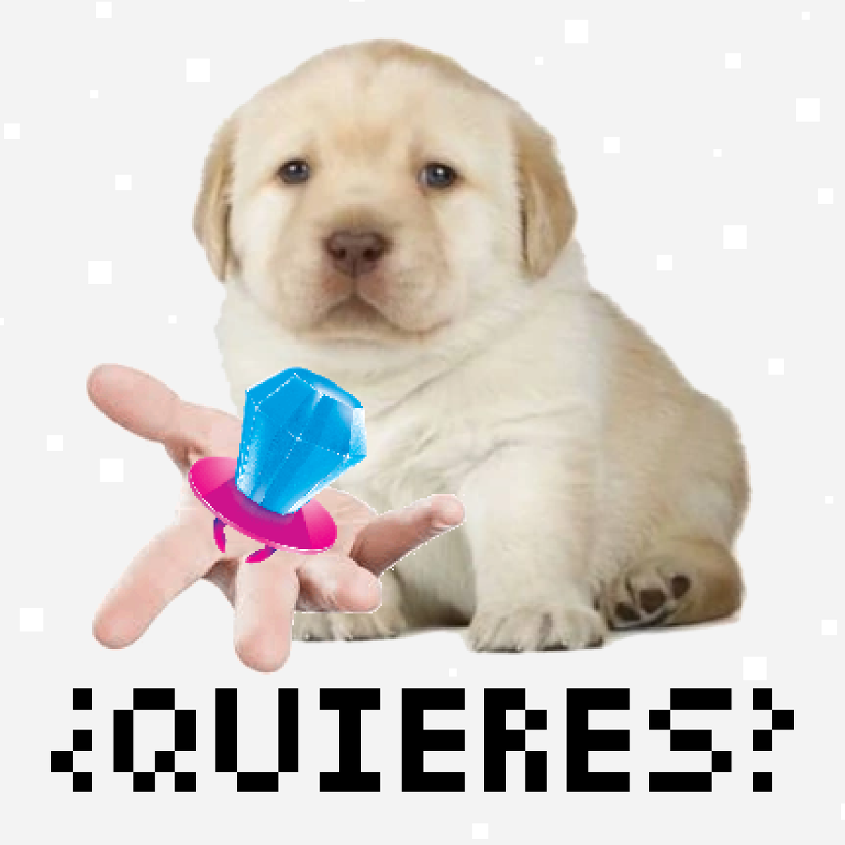 RopeVRC's tweet image. Ring Pops are very cool, did I mention they are also FREE on my #booth_pm ?