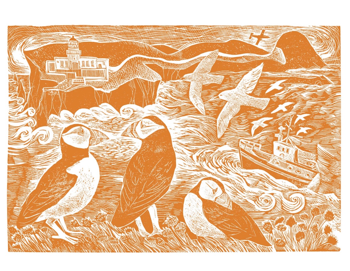 Single colour  Fair Isle Puffins at the North Lighthouse angelaharding.co.uk #puffins