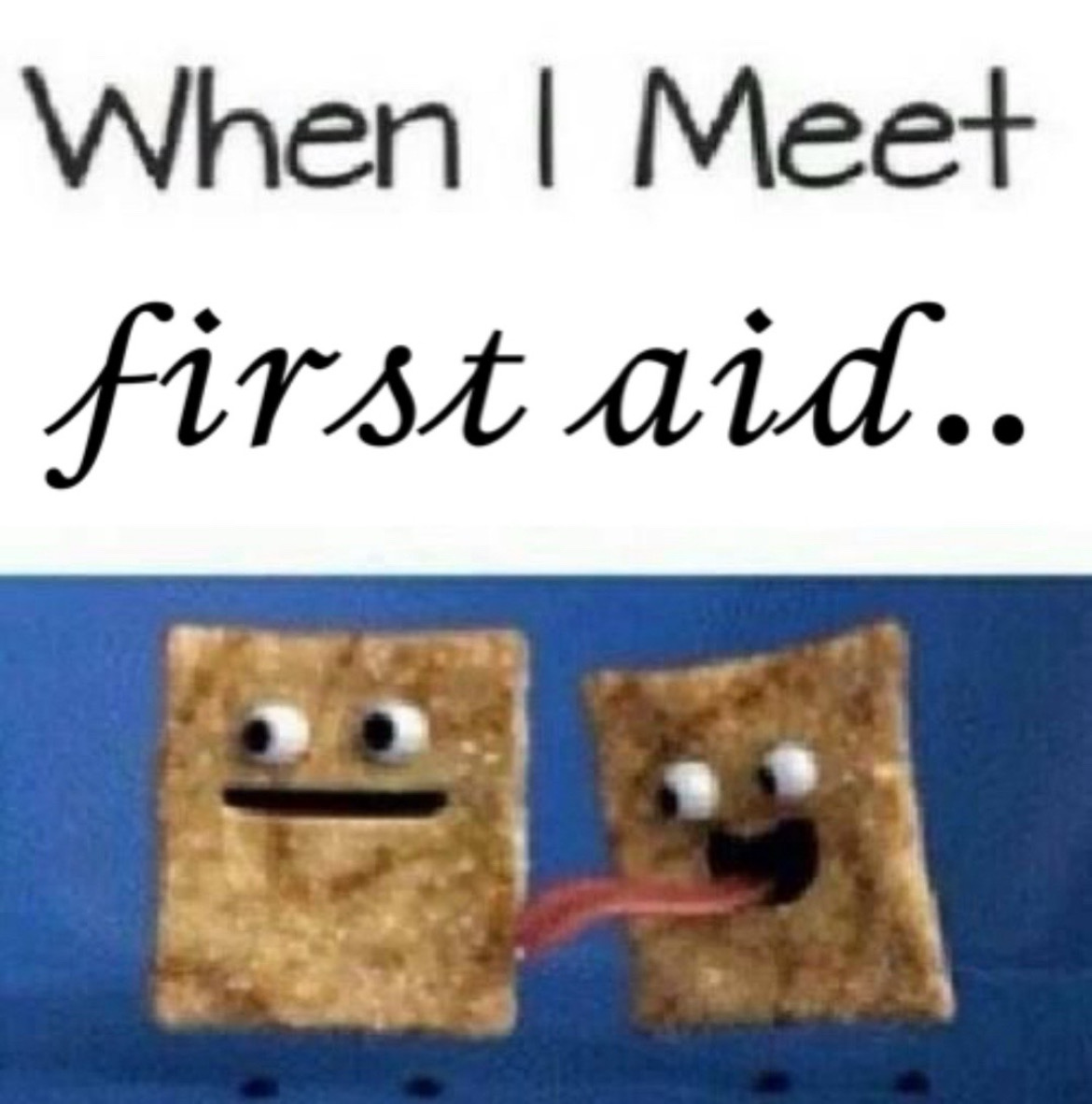 FirstAidEnjoyer's tweet image. 