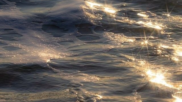 aesthetics (@aesthetics_40) on Twitter photo 