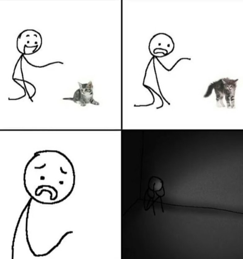 Punch Cat (@punchingcat) on Twitter photo 