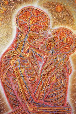 Jules Horn tweet media