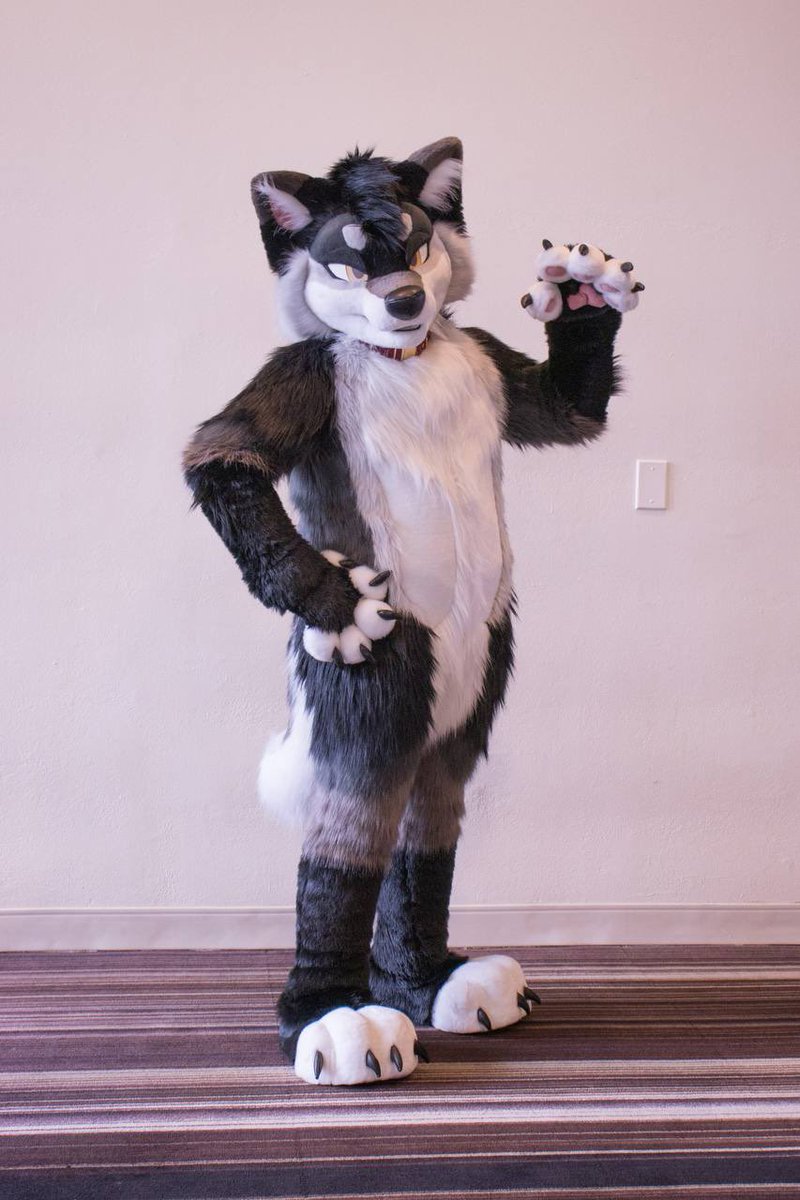 🦊 + 🐺 = ❤️ 
Thanks <a href="/floofaloofa/">Floofa</a> for the great photos!!