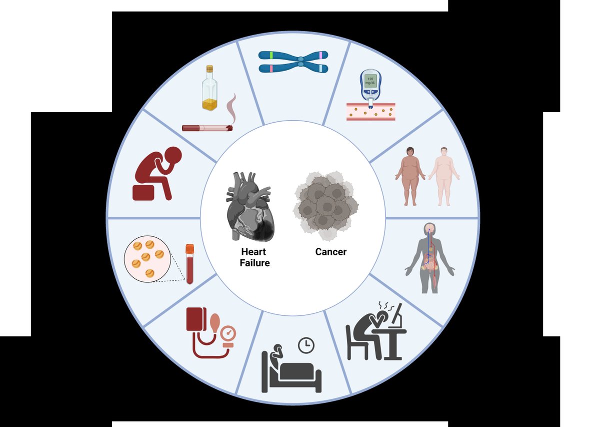 Circulation Research (@circres) on Twitter photo <a href="/CircRes/">Circulation Research</a> Compendium on Interorgan Crosstalk in #HeartFailure and #Cardiometabolic Diseases
Insights into Heart-#Tumor Interactions in Heart Failure ahajrnls.org/43vQ730
Authored by <a href="/CallerTal/">Tal Caller</a> & colleagues.
<a href="/LEORJONATHAN/">JONATHAN LEOR</a> <a href="/KathrynMooreLab/">Kathryn Moore Lab</a> <a href="/SeanM_Wu/">Sean M Wu, MD PhD</a> <a href="/LorenzLehmann/">Lorenz Lehmann</a> <a href="/CircRes/">Circulation Research</a> Compendium on Interorgan Crosstalk in #HeartFailure and #Cardiometabolic Diseases
Insights into Heart-#Tumor Interactions in Heart Failure ahajrnls.org/43vQ730
Authored by <a href="/CallerTal/">Tal Caller</a> & colleagues.
<a href="/LEORJONATHAN/">JONATHAN LEOR</a> <a href="/KathrynMooreLab/">Kathryn Moore Lab</a> <a href="/SeanM_Wu/">Sean M Wu, MD PhD</a> <a href="/LorenzLehmann/">Lorenz Lehmann</a>