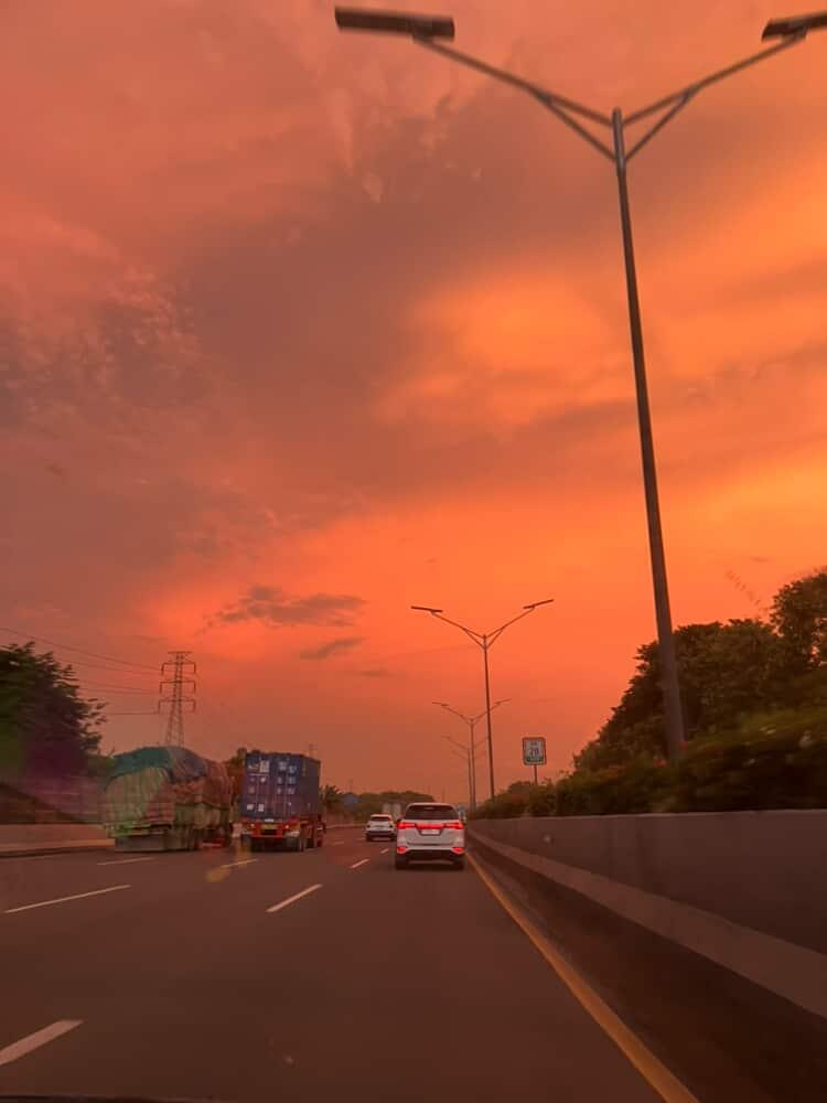 dclumsyalien's tweet image. 