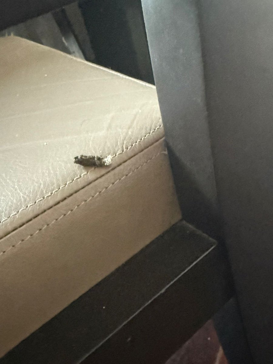 MariaE84927's tweet photo. @SofitelCardales El peor hotel al que fui. Caca de rata en las habitaciones. Al lado de un basural. Pésimo servicio https://t.co/fP8Cct3jQl