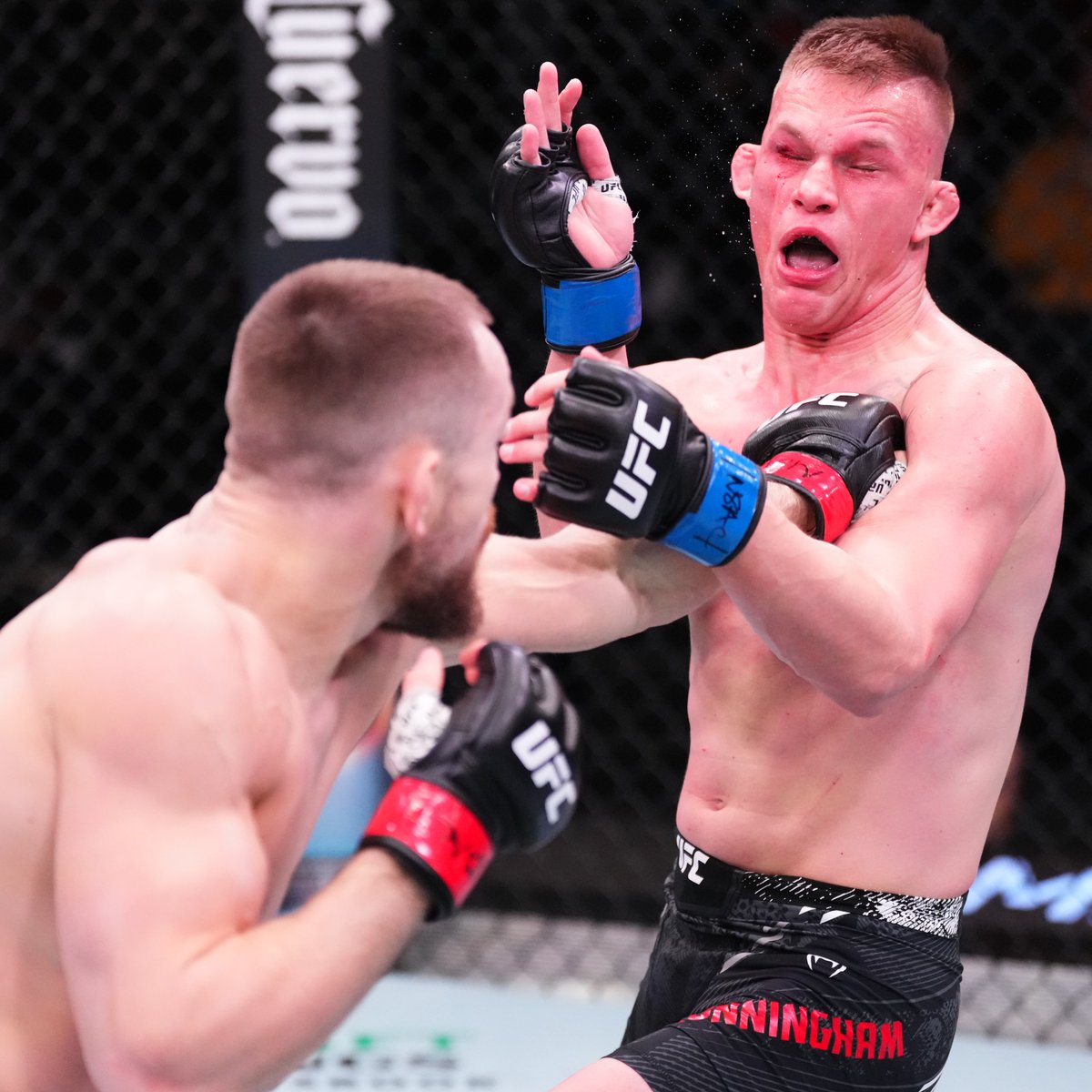 UFC Europe tweet media