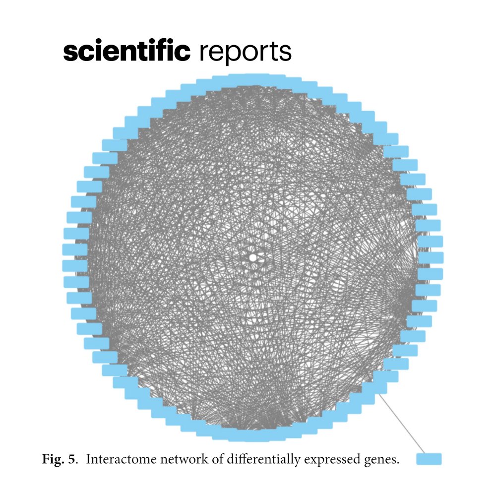 Scientific Reports with another mind-expanding figure in 2025. Perhaps these are intentionally blank, and the reader can add their own names? 10.1038/s41598-025-88819-2