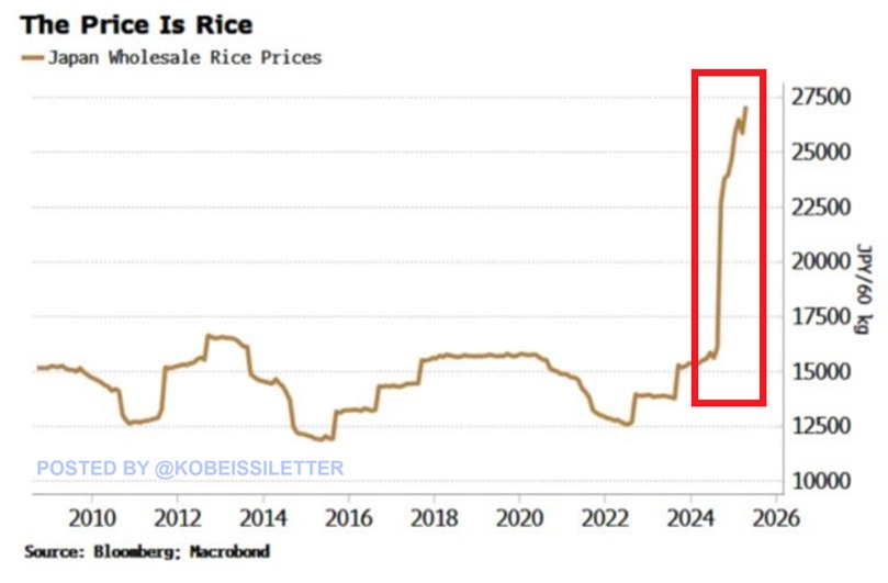 🚨 BREAKING: "Giappone in crisi: il riso schizza +98,4% e l'energia rincara del 9,3%"