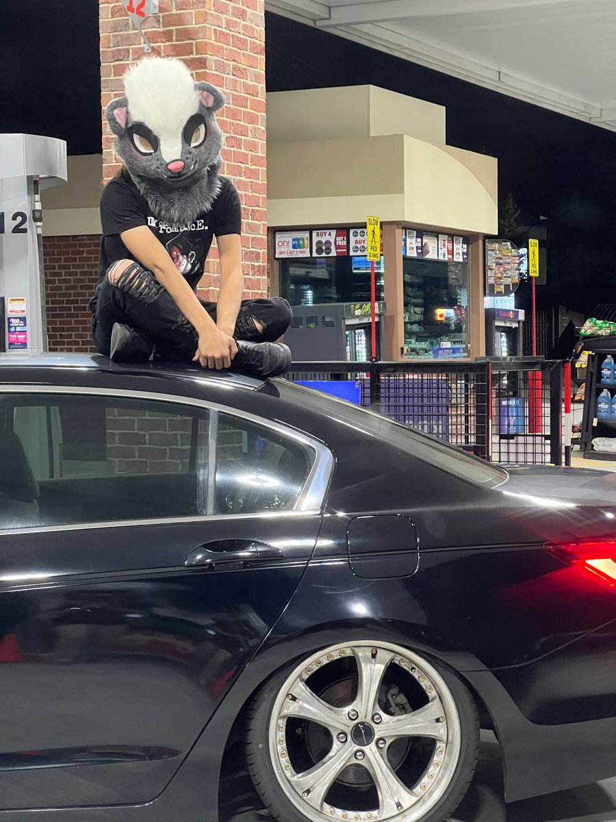 skunks can’t even drive 

📷: <a href="/CelsiorDoggo/">celsior</a>