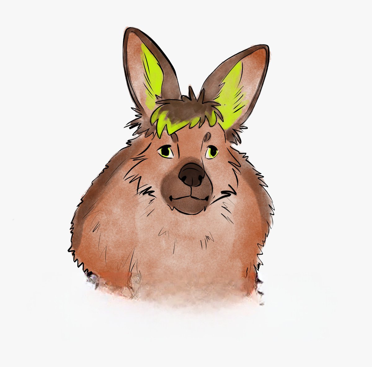 Max_Sheptsov's tweet image. 