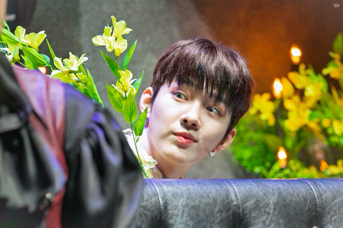 옅은향 tweet media