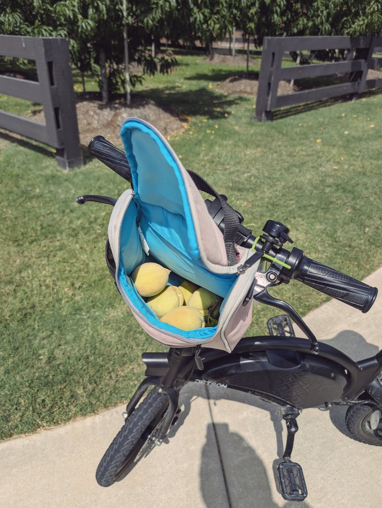 На районе есть небольшие островки садов: яблоки, груши, персики, апельсины, пеканы что то ещё 

Яблоки и персики валятся на пол, почти никто не собирает, пропадают. Собрали с утреца 12 фунтов яблок и немного персиков.