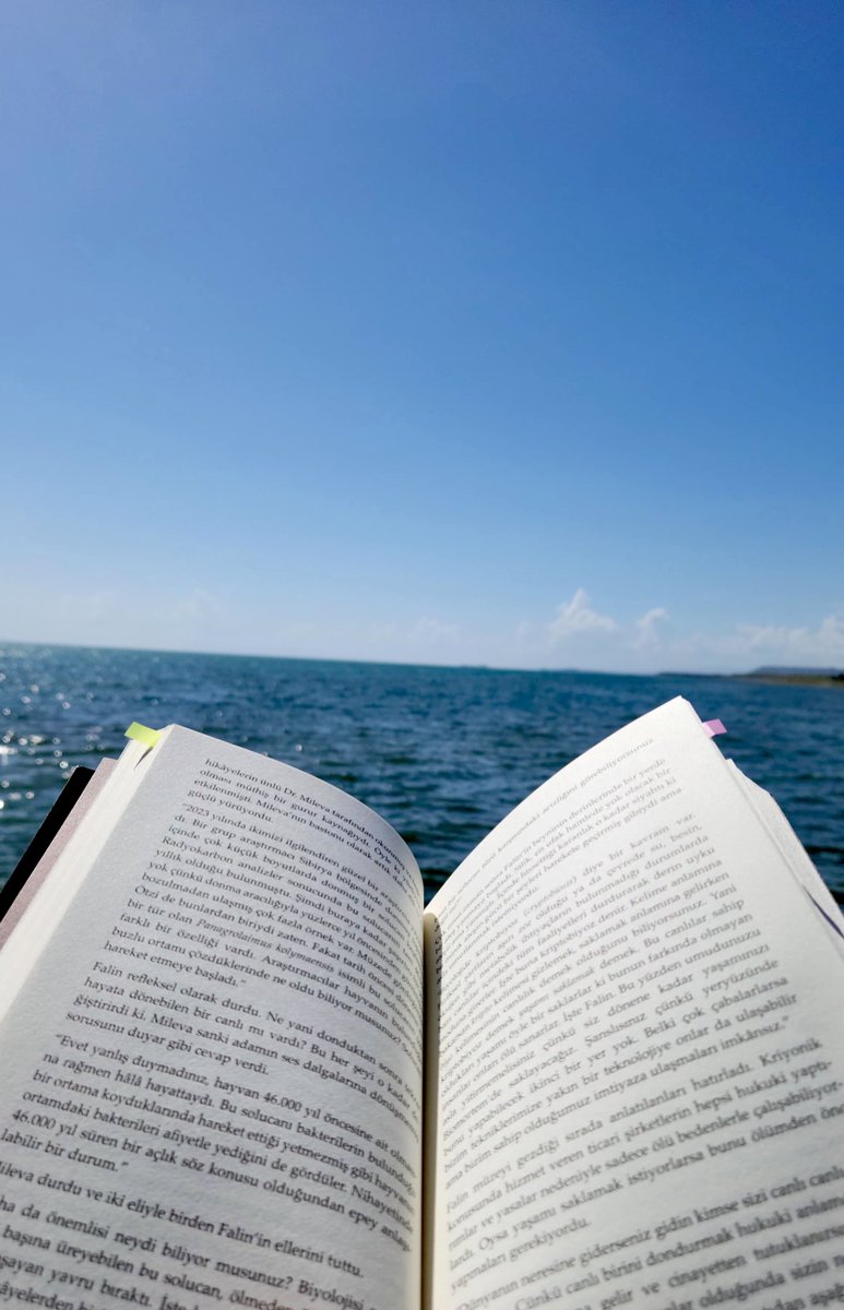 Bir deniz kıyısında otur
Gemiler sensiz gitsin bırak…