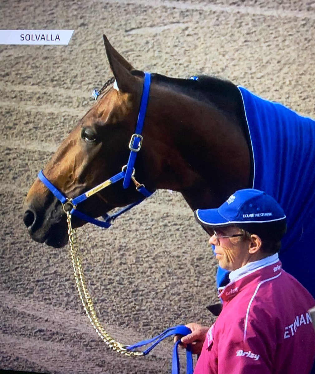 Tack för allt, Etonnant 💙💙💙 <a href="/lherete/">lherete jean yves</a> , <a href="/EcurieWesterin1/">Ecurie Westerink</a>