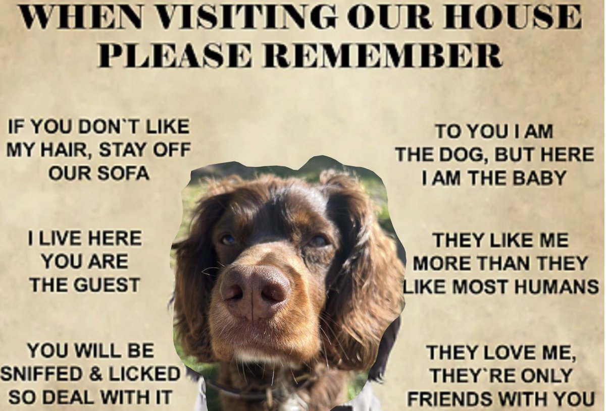 When coming to our house …….
🐾 

Ralphy Rules