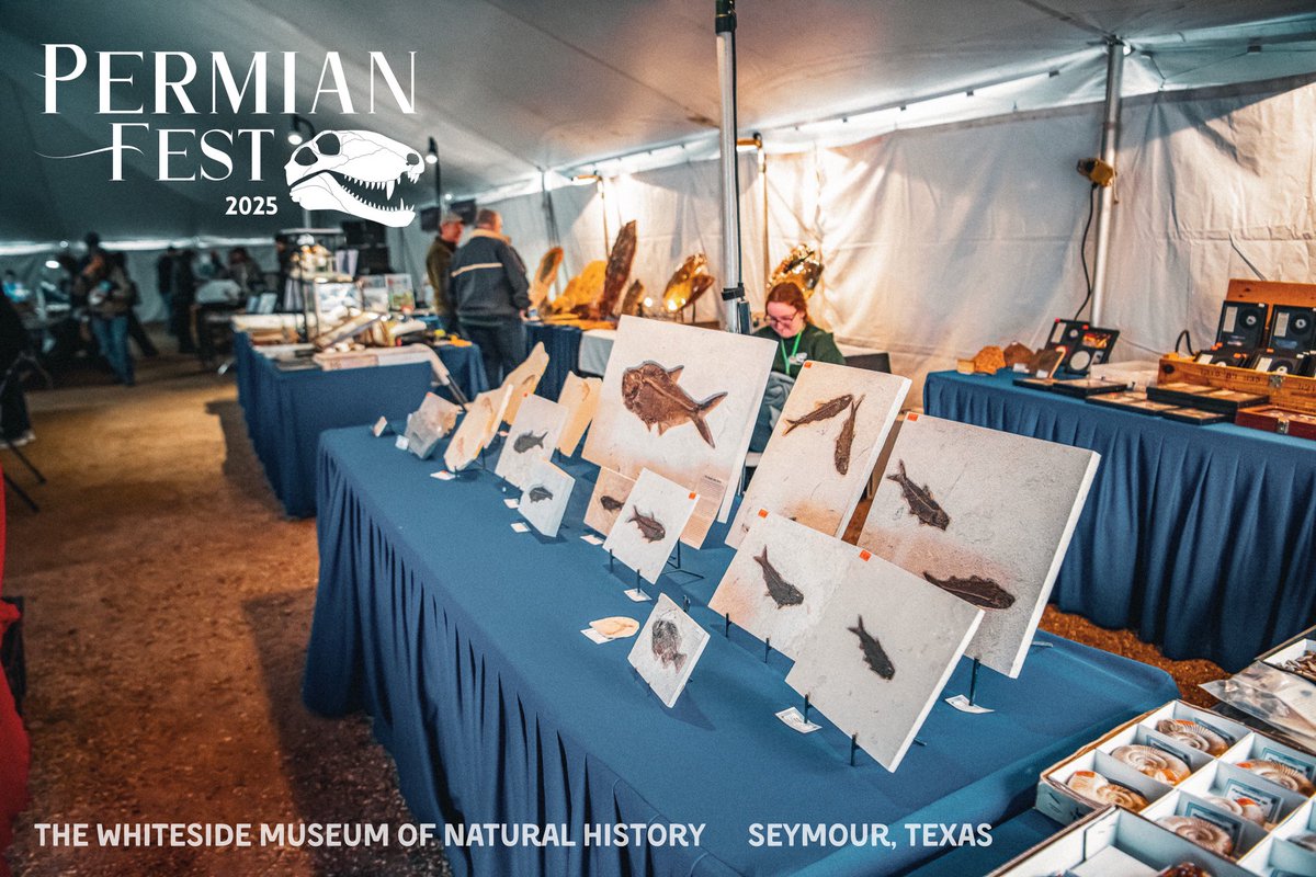 Calling all vendors! We still have a few spots left for Permian Fest - a three-day celebration of science, paleontology, and more.

Set up is easy - you can arrive early evening on June 5th or on June 6th. Each 10' x 10' booth is just $175.

APPLY HERE! wmnh.org/vendors