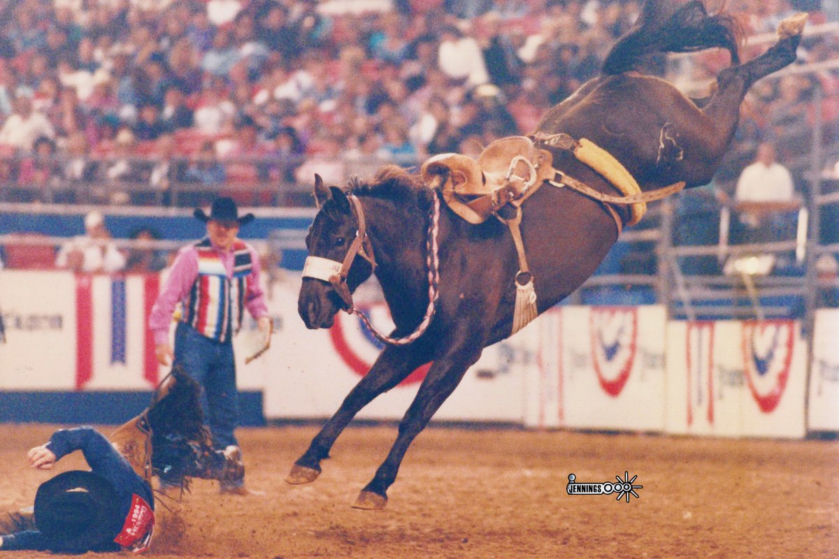 badcorodeo's tweet image. Sensation, a 6x NFR Saddle Bronc horse (87-89, 92-94), showed out in 1994 at Houston in one of photographer David Jennings favorite photos.