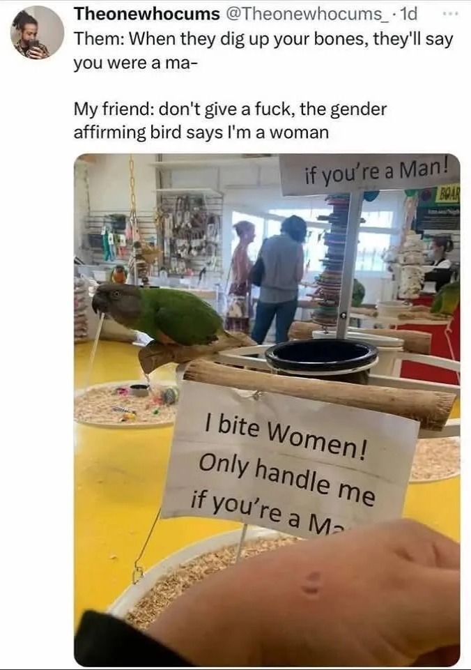 Animals affirming you > Transphobes.