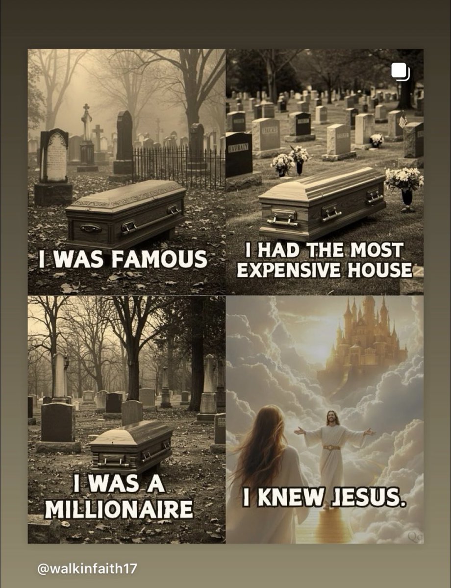 Mountainfarm6 tweet media