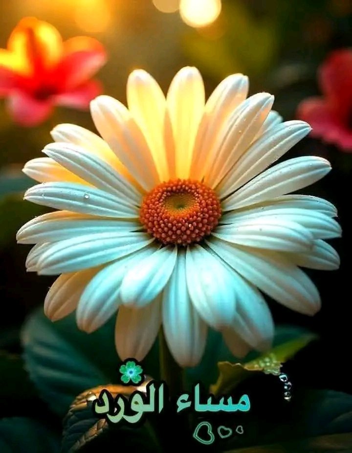 يصنعون كل شي من اجل المال 
متالقين في افعالهم