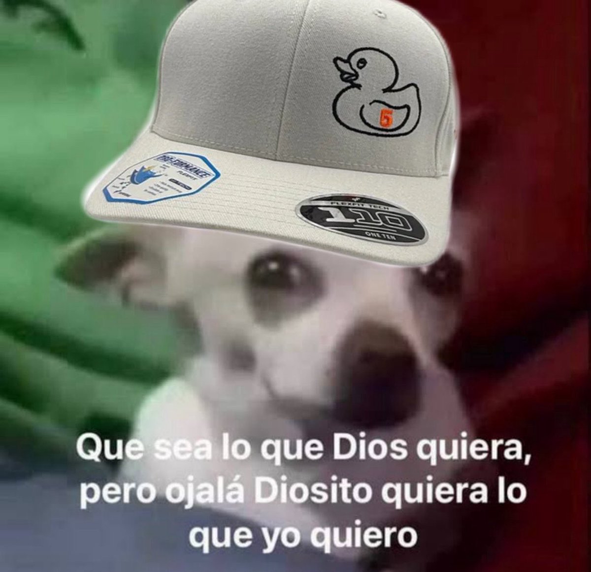 hoy más que nunca