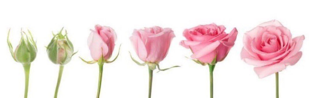 ortama alışınca benim dilin açılış