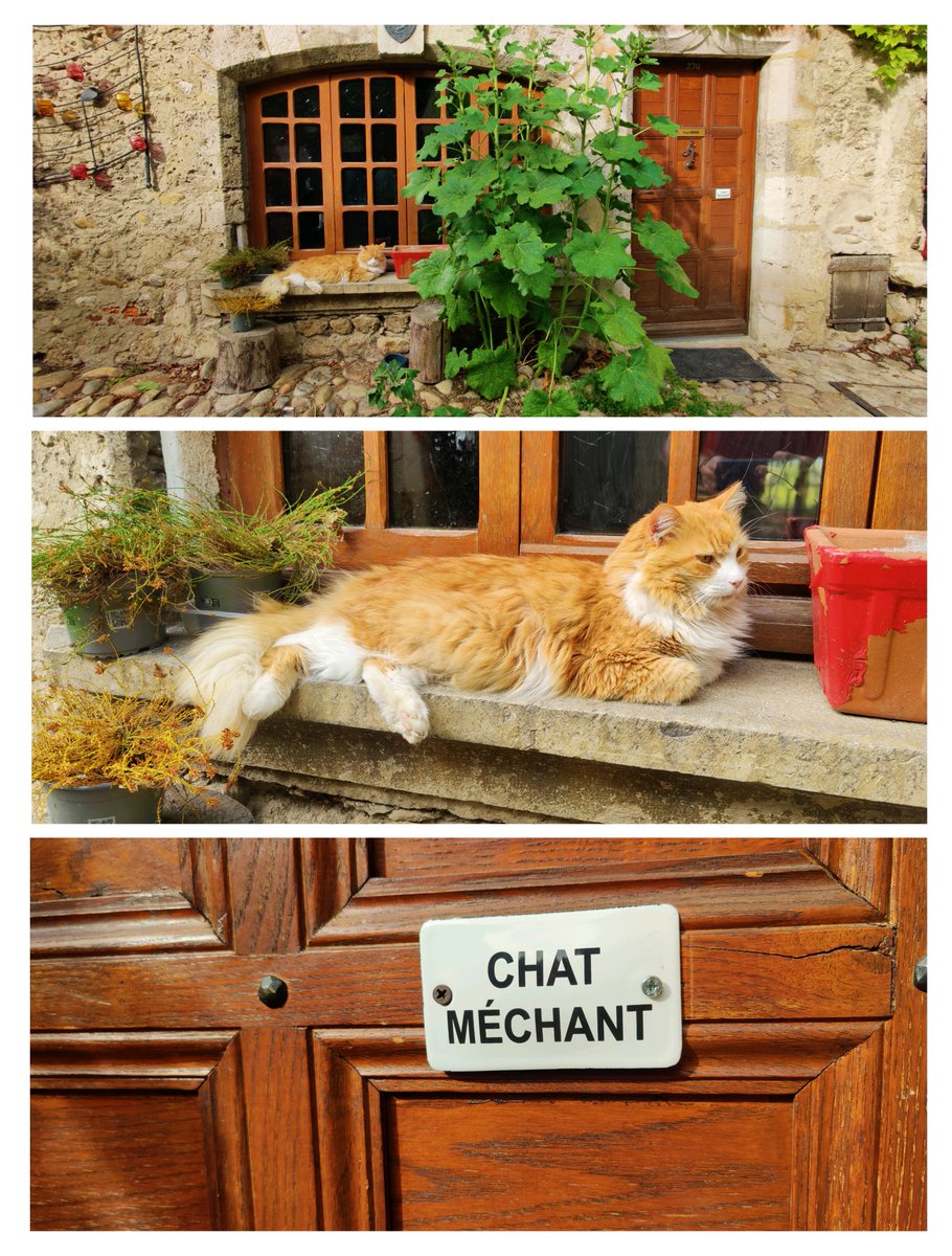 aleknaza's tweet image. Chat méchant

Cité médiévale de Pérouges. Le 24 mai 2025.

#Pérouges #France #ChatMéchant #chat