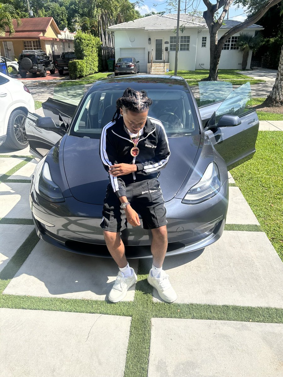 zoolin tweet media