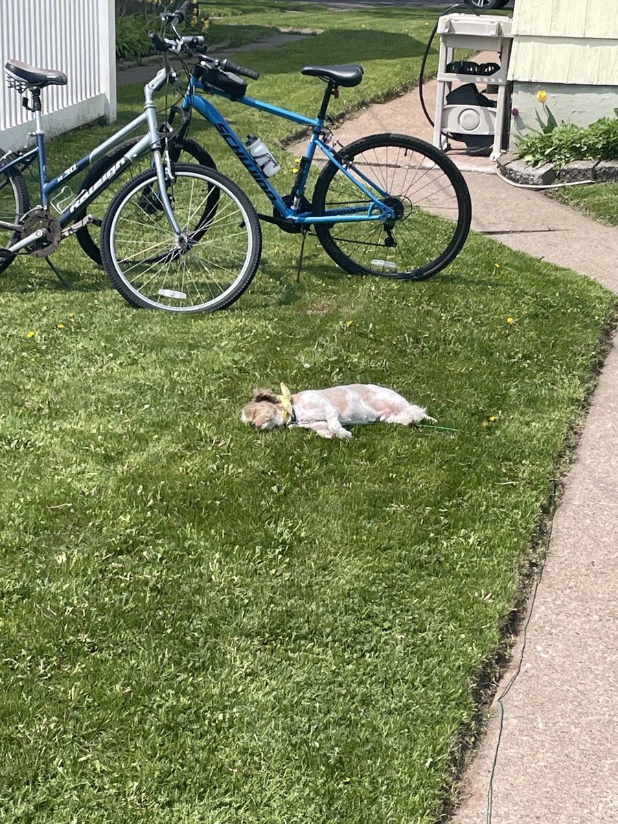 To Beaver Nation and all. Hope everyone has a great holiday weekend. Wish I could enjoy as much as our dog, but he has worked hard today. Love and miss you all.