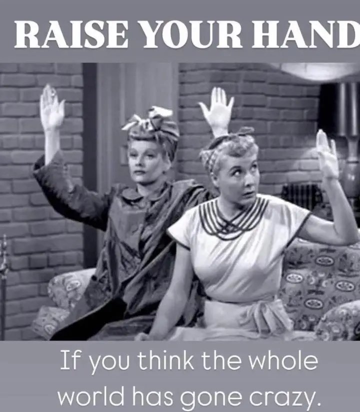 CookieKL's tweet image. ✋💯💯🤪🤣🤣🤣🤣
#craziness