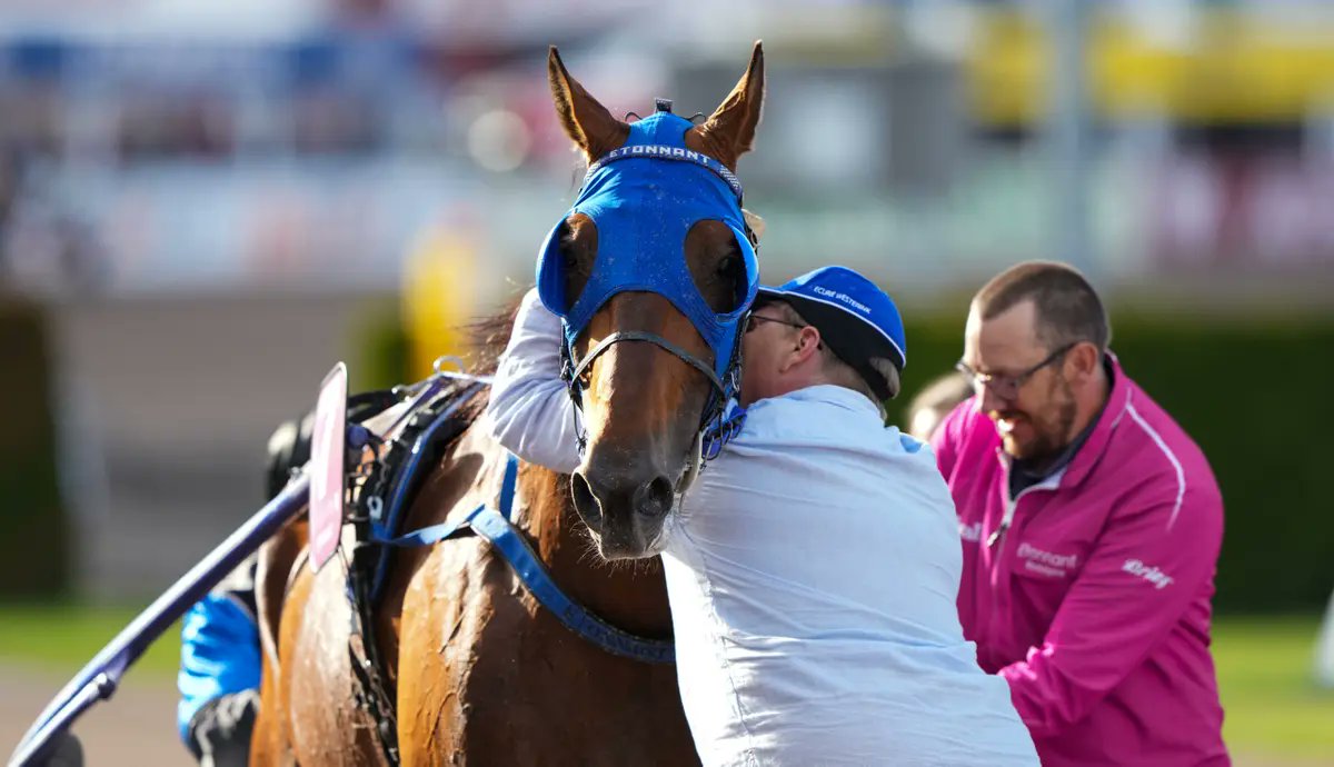 _kirstenelise's tweet photo. ÉTONNANT - The one in a million champion 🏆

Following in the footsteps of his dad, Timoko. Étonnant proved himself one of the greatest from the age of two.

A master of every distance -- 1609m, 2100m, 2700m and even 4150m. Winning the Elitloppet, Winning the Prix de Paris. 

From triumph to heartbreak, and back again
He raced not just with strength, but with his soul

His story is one of perseverance and heart
Infinite gratitude for having witnessed greatness like yours

The only thing I can say right now: 

Merci Champion, Merci Étonnant
Merci a million times 💙

@RichardWesteri1
