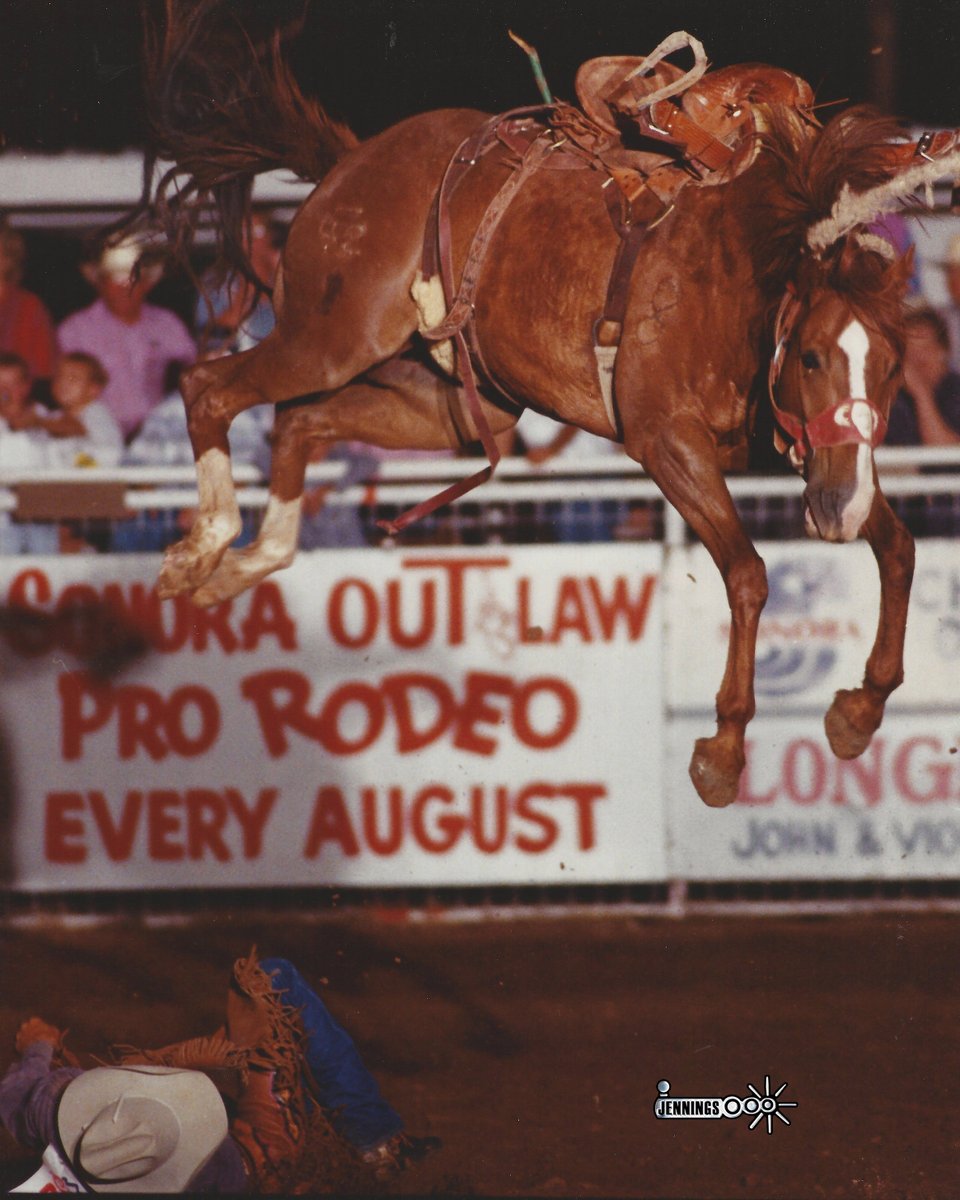 badcorodeo's tweet image. Johnny Pollock is checking his cinches from the bottom side of China Grove at the Outlaw Pro Rodeo in Sonora (photo by Jennings Rodeo Photography)
