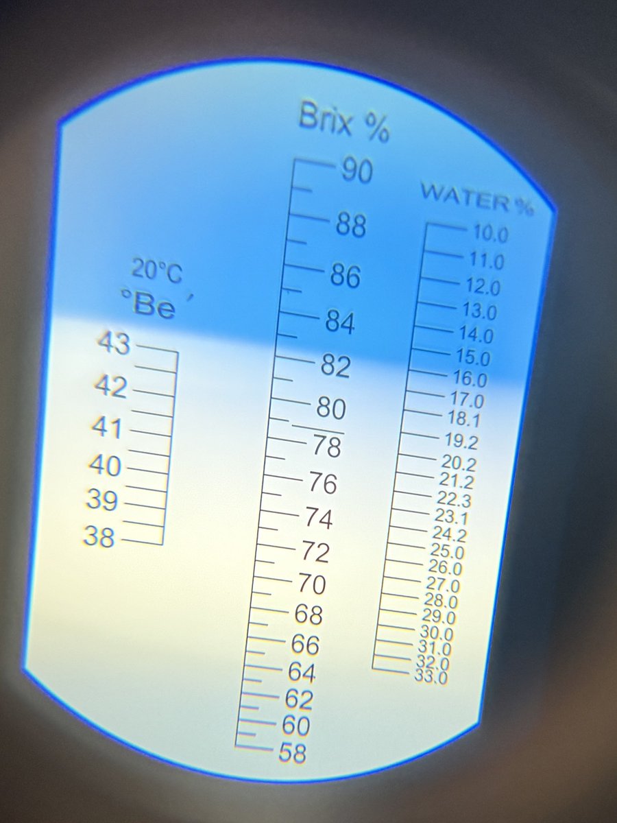 TylaGlasBees's tweet image. Second batch of our spring honey has a water content slightly higher than the first batch but still well below the allowable 20%

#happywiththat #springhoney #welshhoney #welshisbest #honey #honeybees