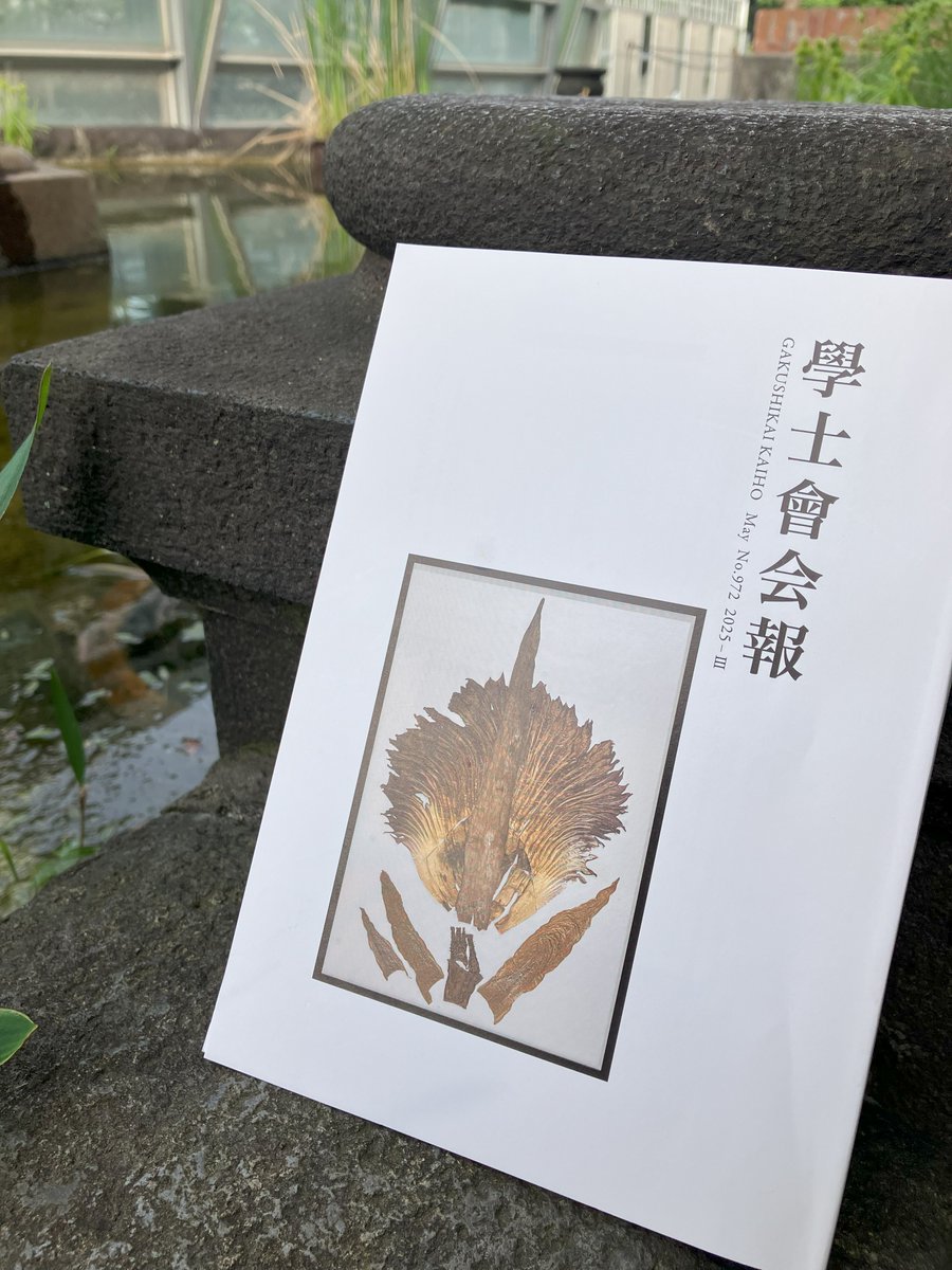 学士会会報の最新号の表紙に、JPタワー学術文化総合ミュージアム「インターメディアテク」で展示中の実物大ショクダイオオコンニャク標本が掲載されました。標本は、2023年12月に小石川植物園で開花した花序を乾燥させ、約3か月かけて作成したものです。