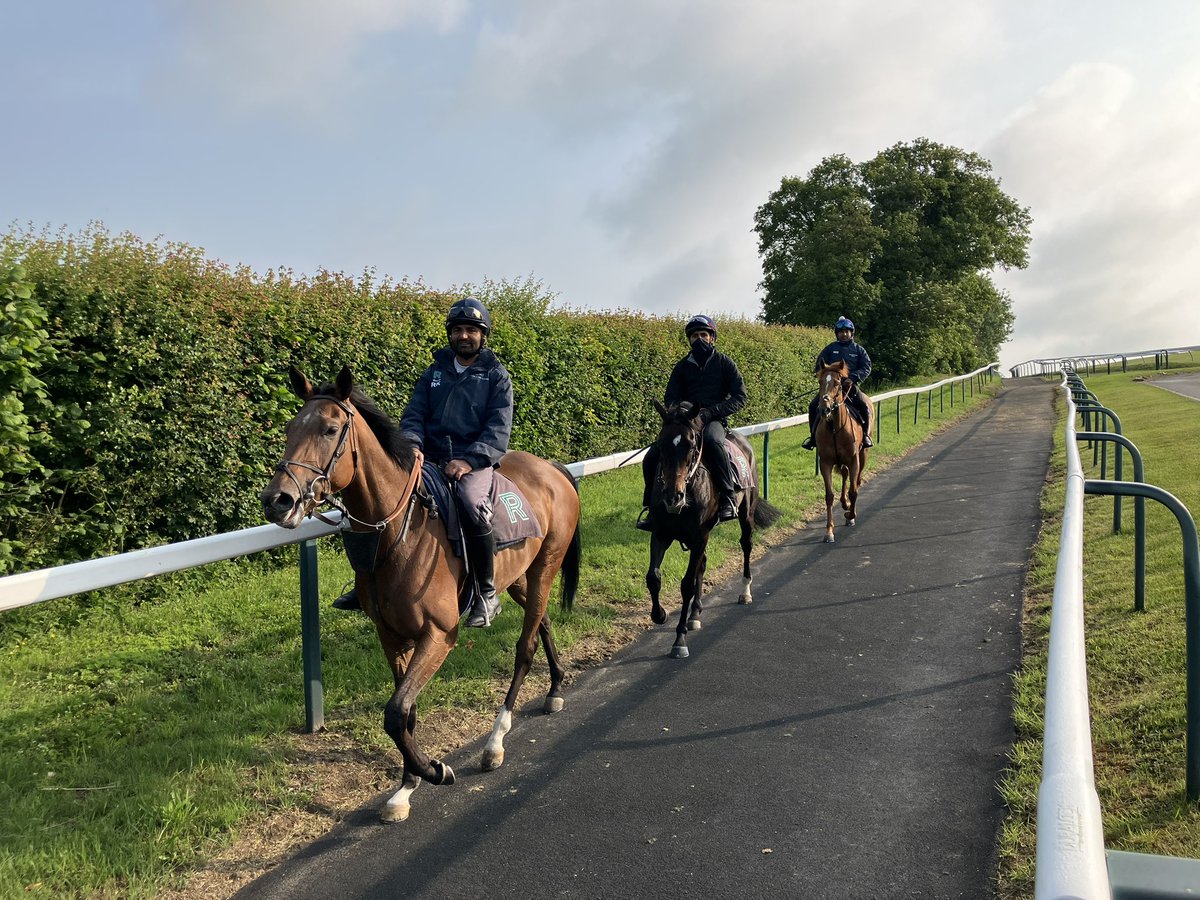 TimDellor's tweet image. Looking ahead to @Ascot on @BBCBerkshire this morning in Lambourn @jockeyclub gallops. Glorious on the Berkshire Downs today.