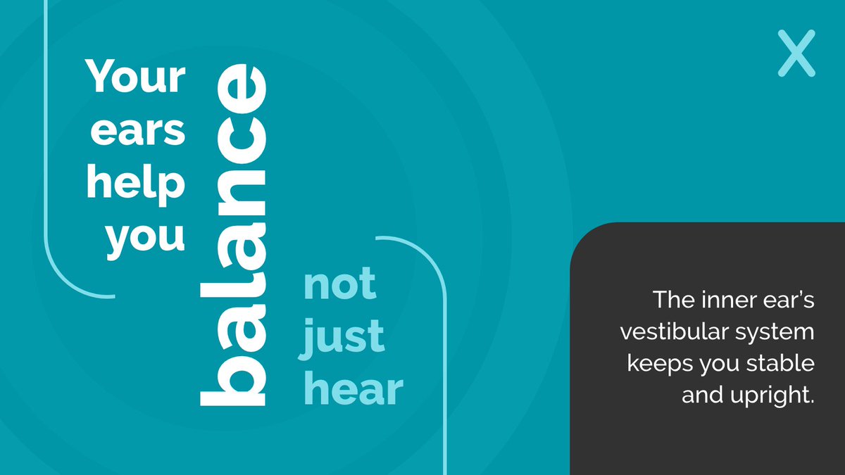 Your ears help you do more than hear, they help you balance.
The inner ear plays a major role in keeping you upright and steady.
Feeling dizzy or off-balance? It might be an inner ear issue, not just clumsiness.

Ear health = total wellbeing.
#EarFacts #Audiology #HearingHealth
